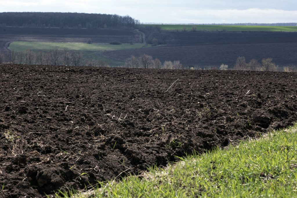 Верховна рада України 13 листопада підтримала скасування мораторію на продаж земель сільськогосподарського призначення